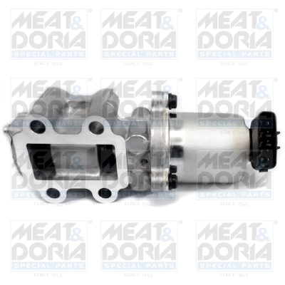 EGR Valve